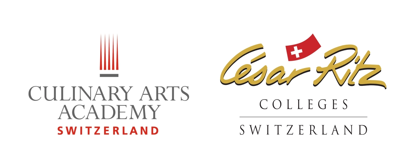 Swiss Education Group partnership