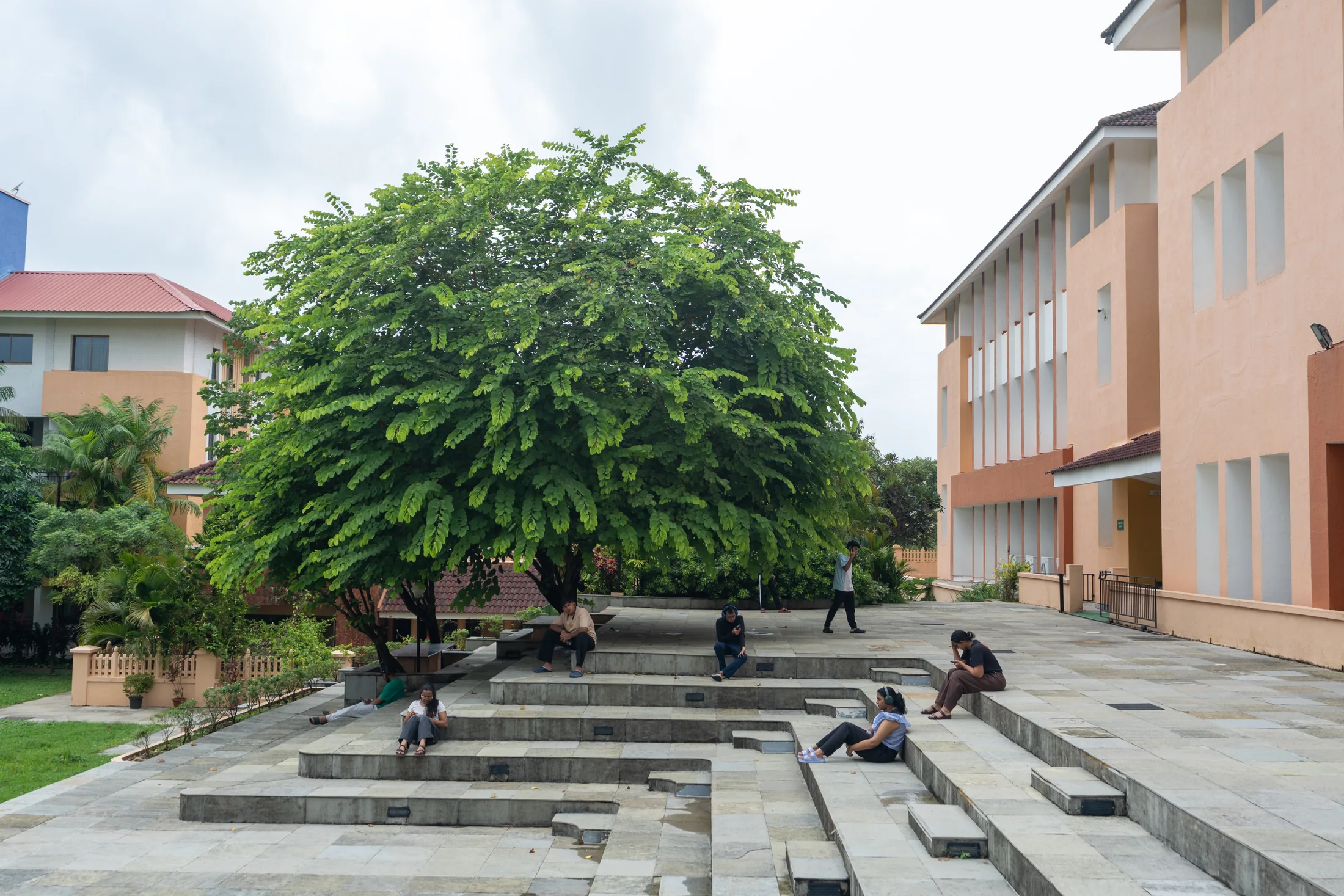 Students seated on the campus amphitheatre steps