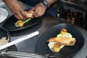 B.Sc. Culinary Arts - Food Production-vmsiihe college