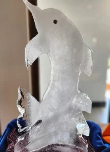 B.Sc. Culinary Arts - Food Production-vmsiihe college