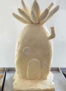 B.Sc. Culinary Arts - Food Production-vmsiihe college