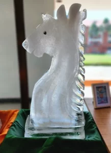 B.Sc. Culinary Arts - Food Production-vmsiihe college