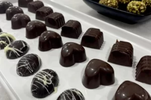 B.Sc. Culinary Arts - Food Production-vmsiihe college