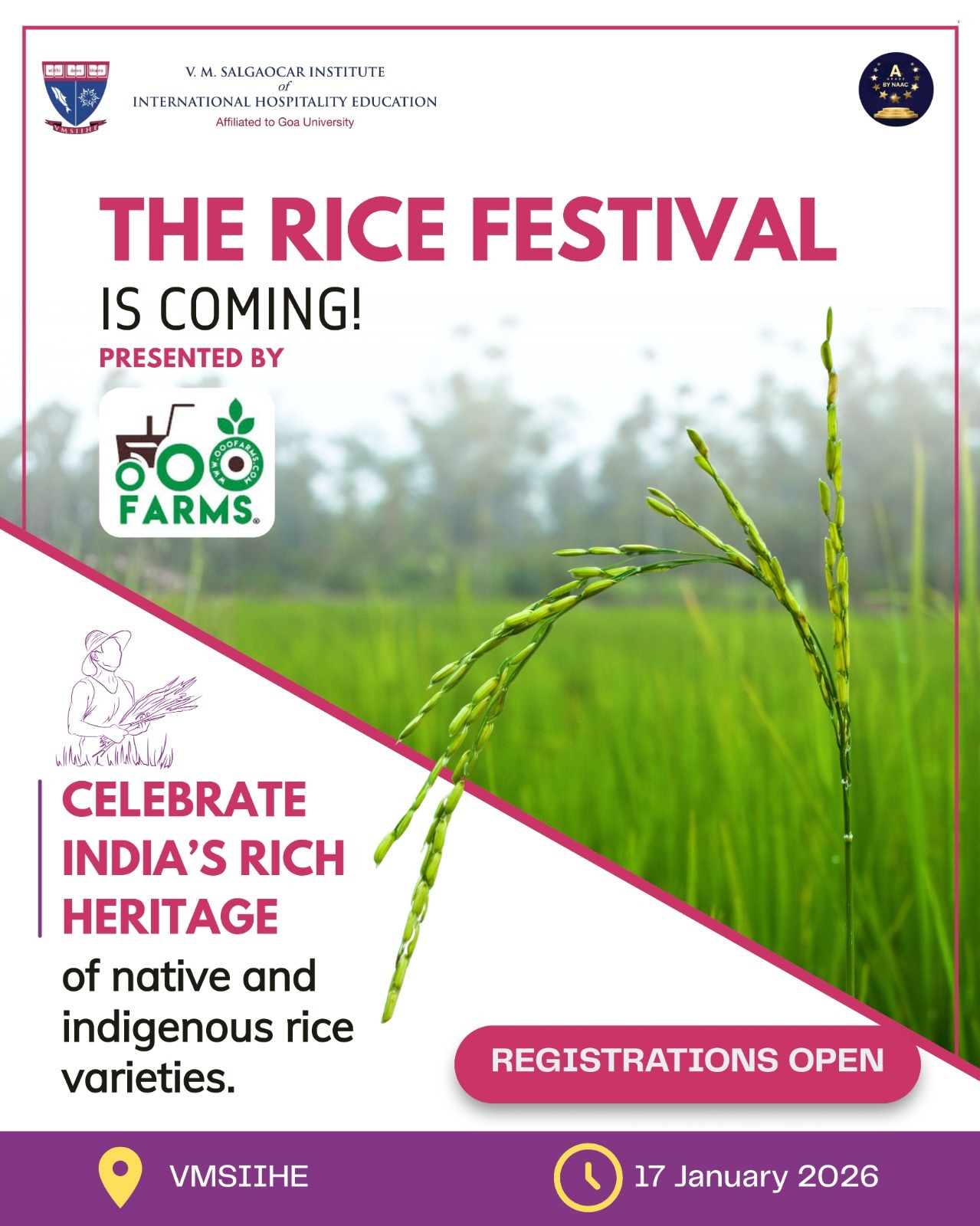 The Rice Festival
